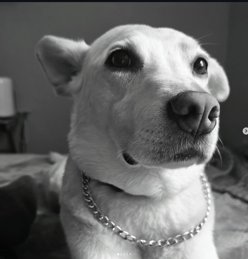 🧜🏼♀️Jennifer🧜🏼♀️ tweet media