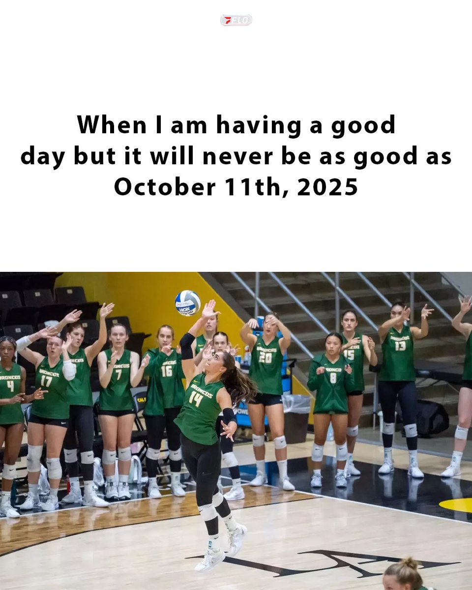 FloCollege | Volleyball tweet media