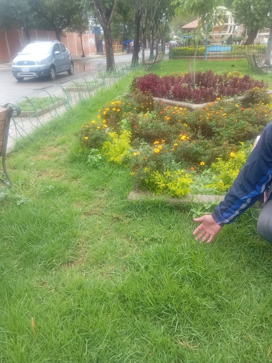 Joselius tweet media