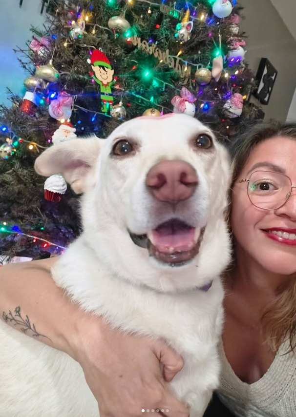 🧜🏼♀️Jennifer🧜🏼♀️ tweet media