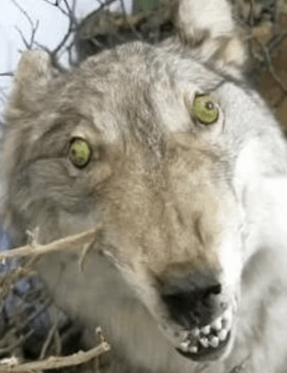 мøнтана 🏎️ tweet media