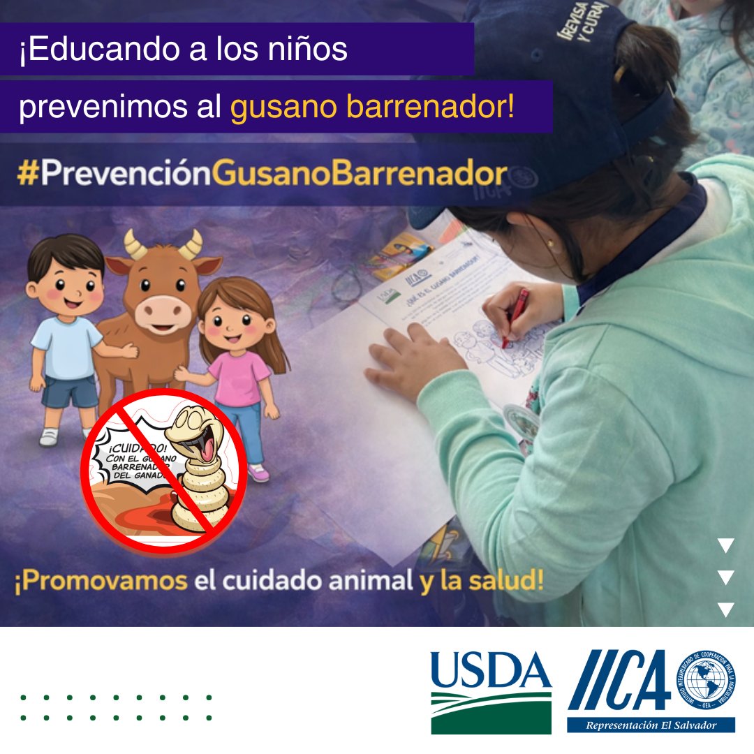 IICA - El Salvador tweet media