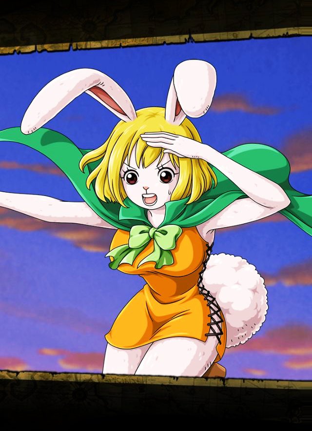 キャロット 🥕 tweet media