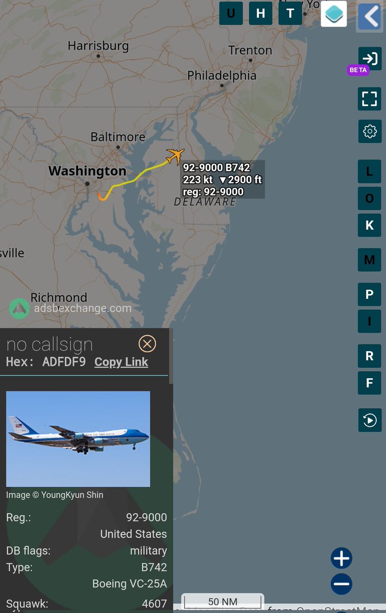 1776Girl tweet media