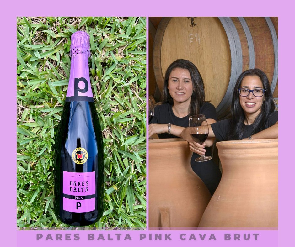 Cork Wine Bar and Markets tweet media