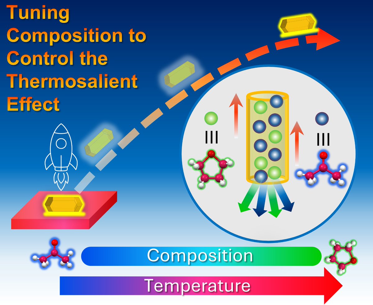 Rodríguez-Molina group tweet media