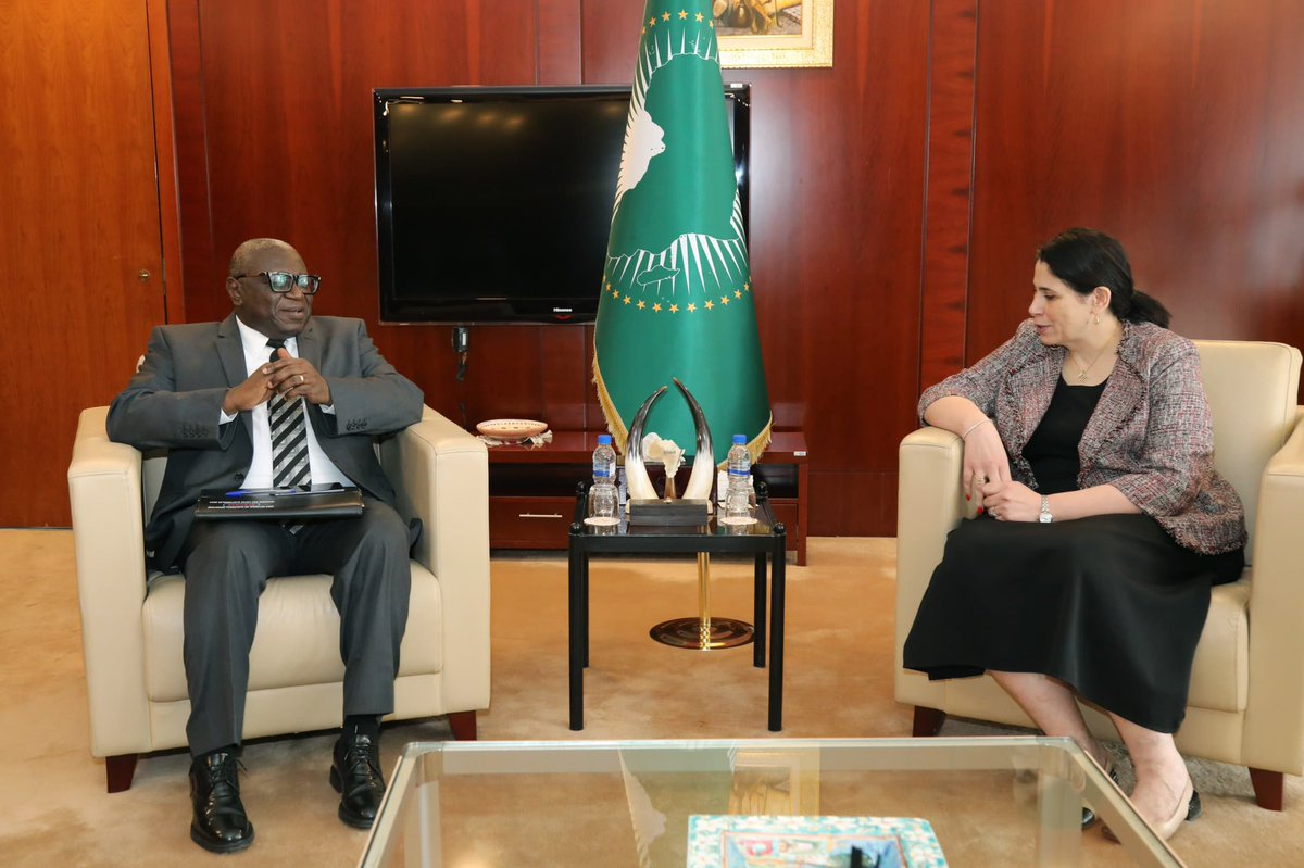 H.E Amb. Selma Malika Haddadi tweet media