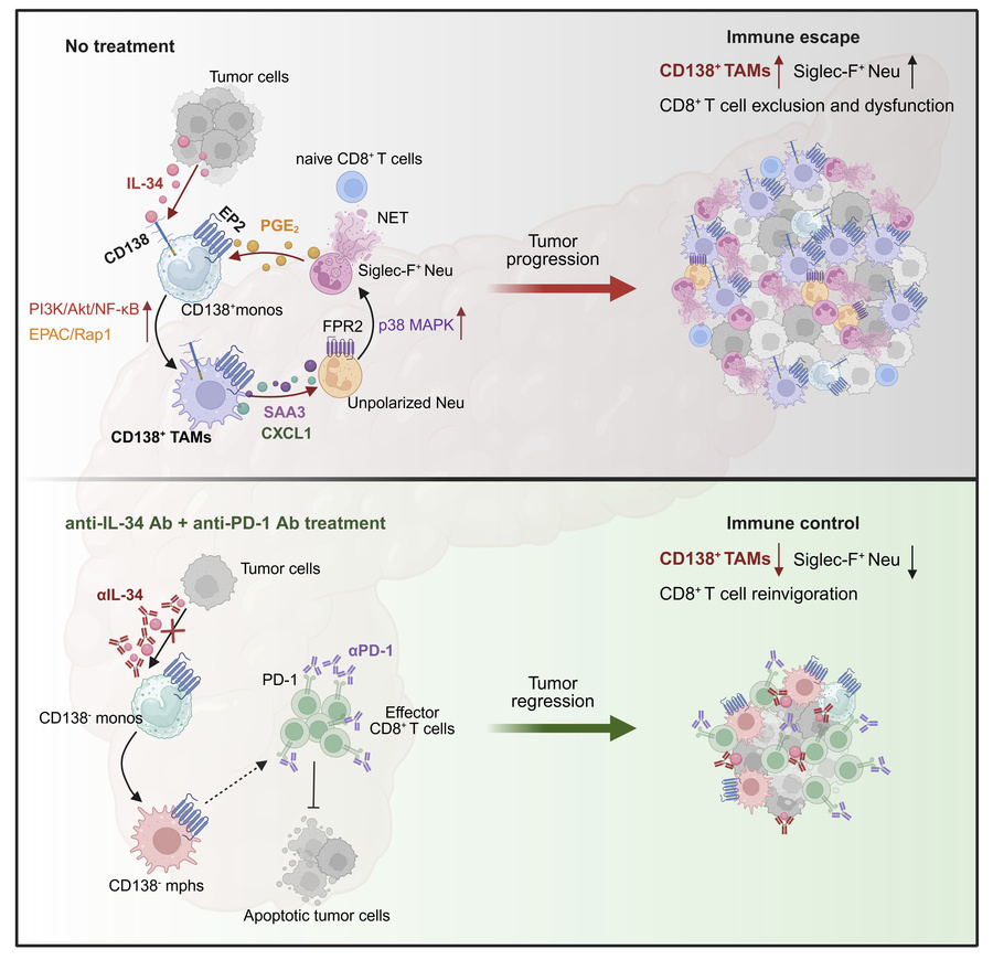 Waggoner Lab tweet media
