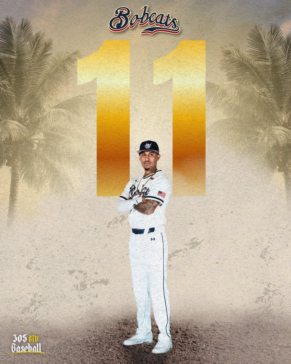 STU Baseball tweet media