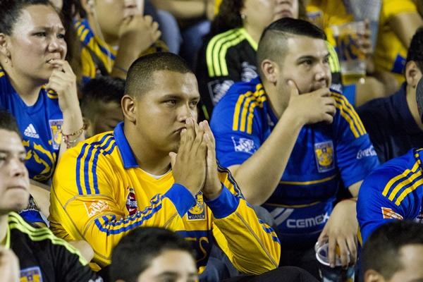 Solo Tigres tweet media