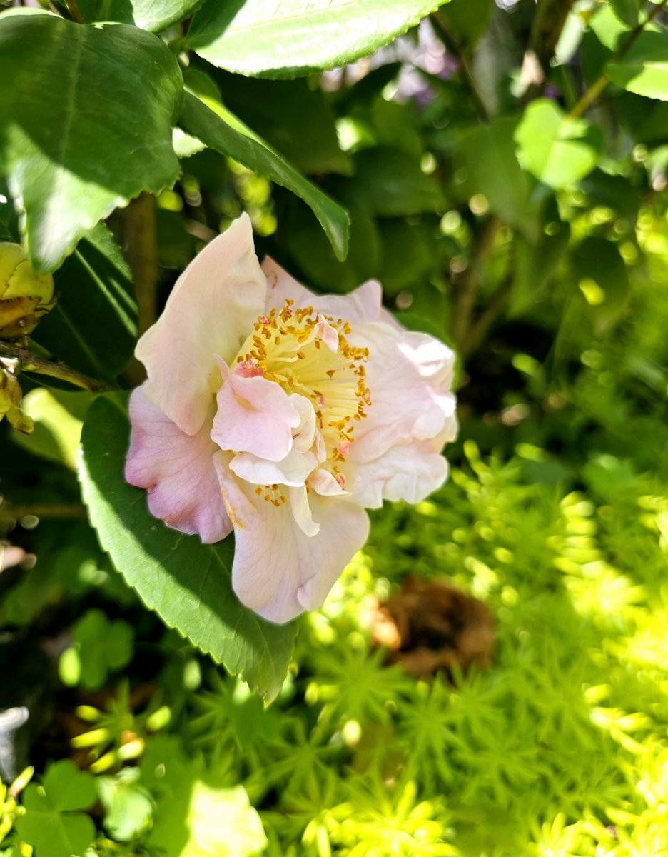 Joseph Gerloff tweet media