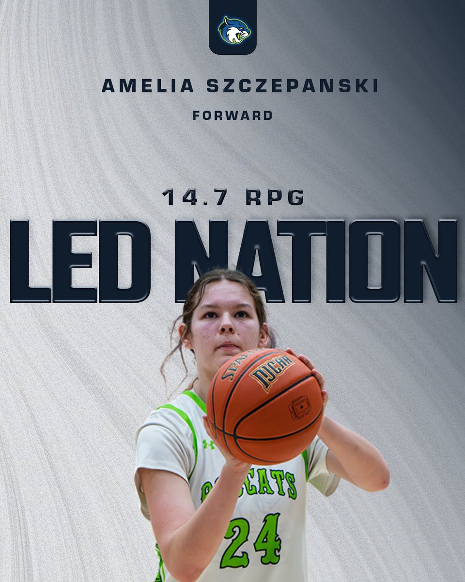 Bryant & Stratton College Women's Basketball WI tweet media