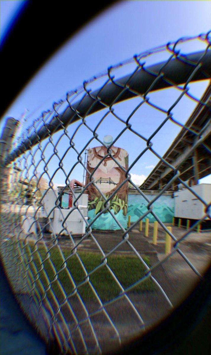 ⚜️ WhoDat ⚜️ tweet media