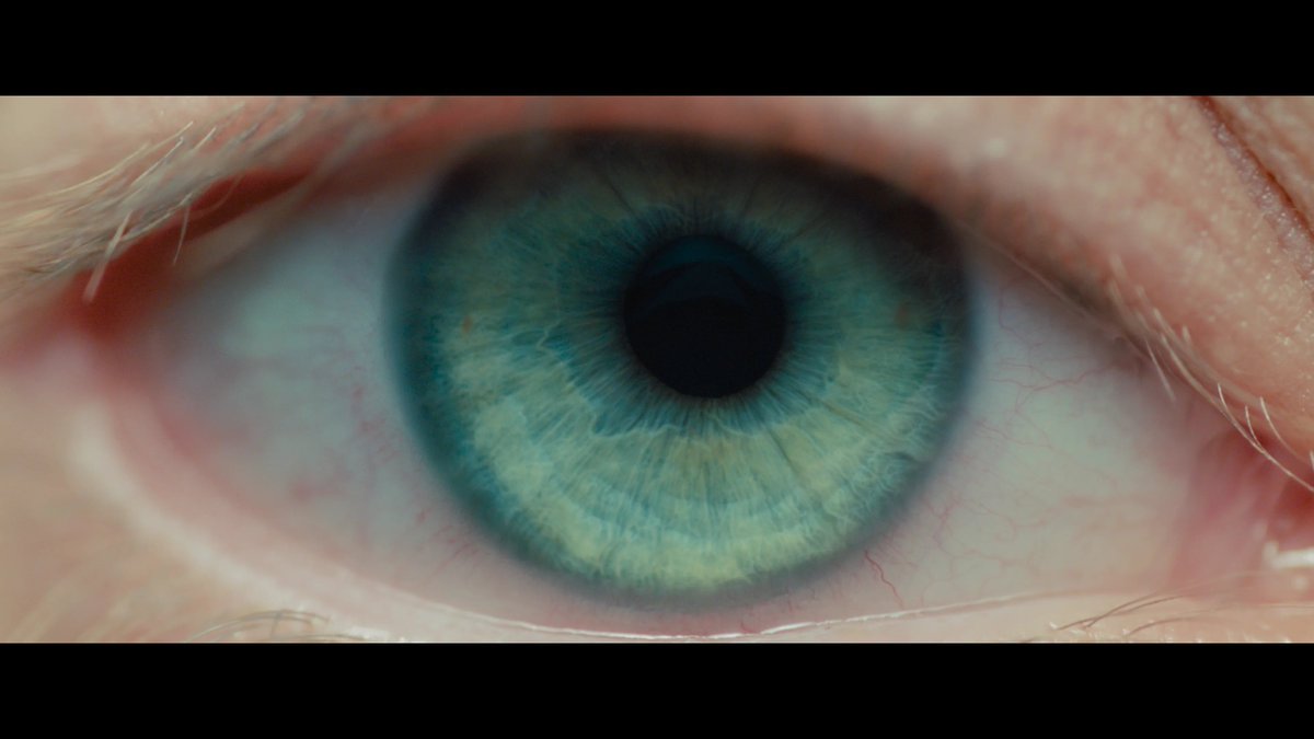 HAMDUNEDYSSEY tweet media