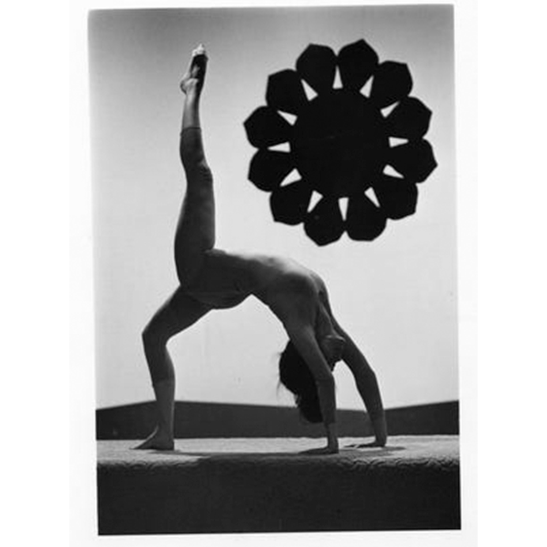 CET - TV tweet media