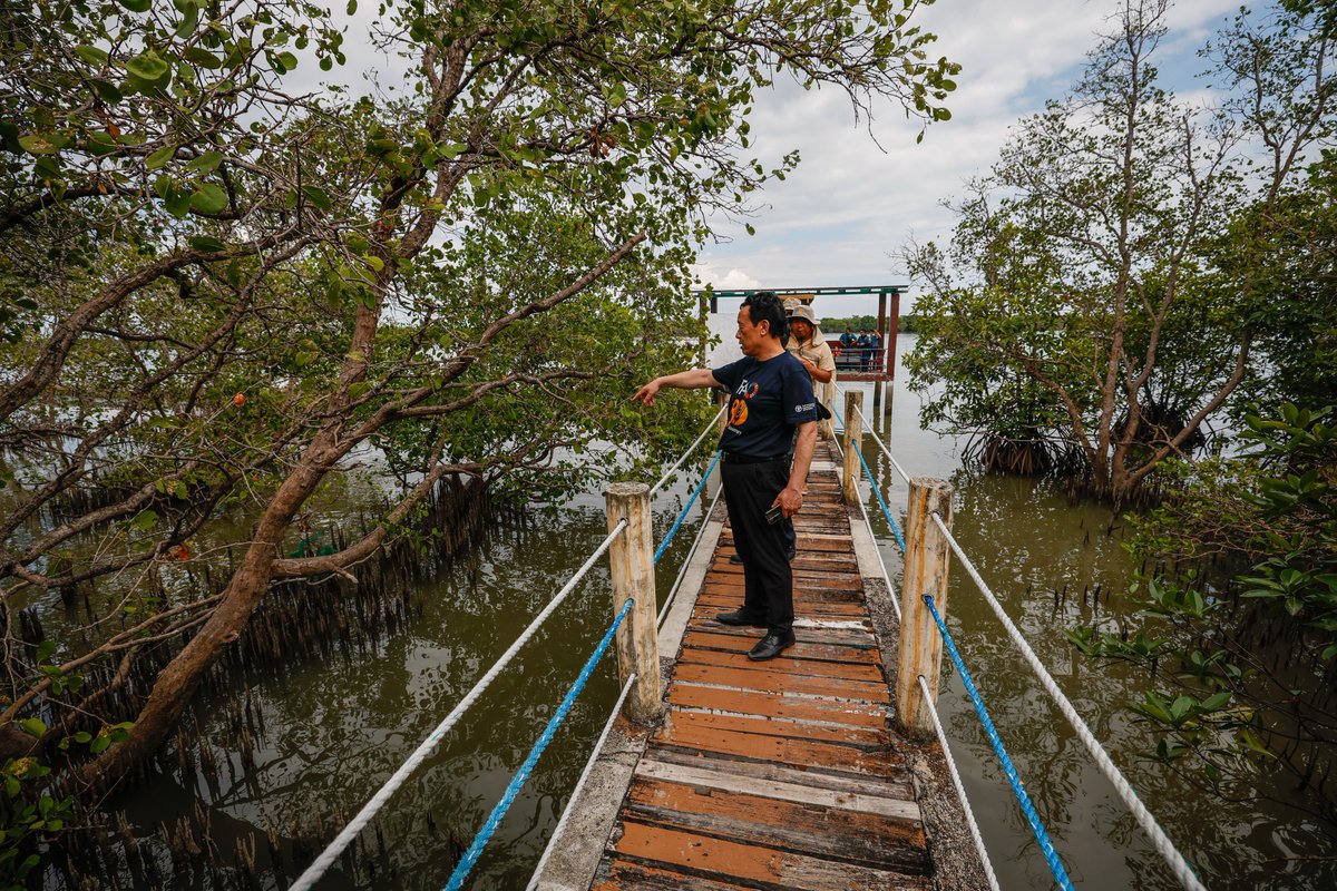 FAO Director-General QU Dongyu tweet media