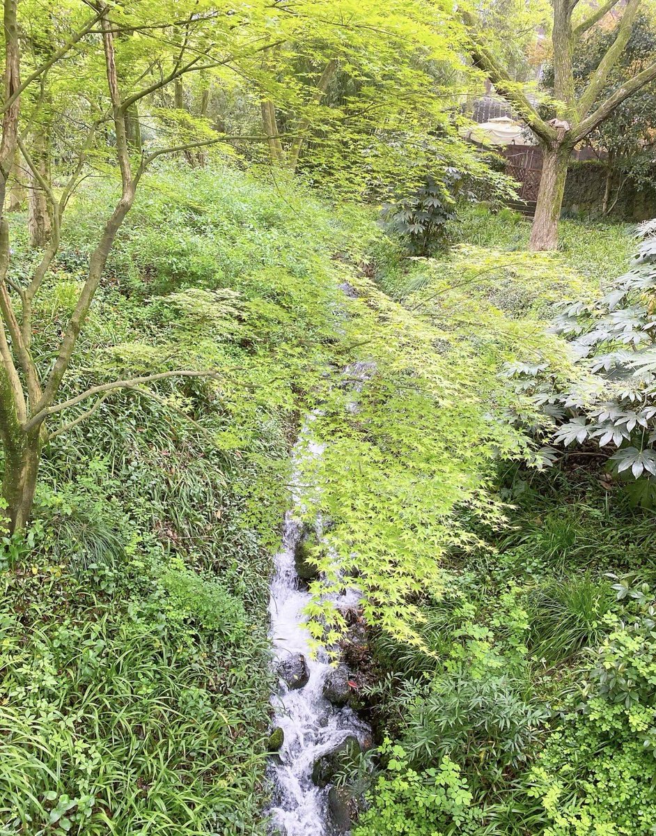 Павел tweet media