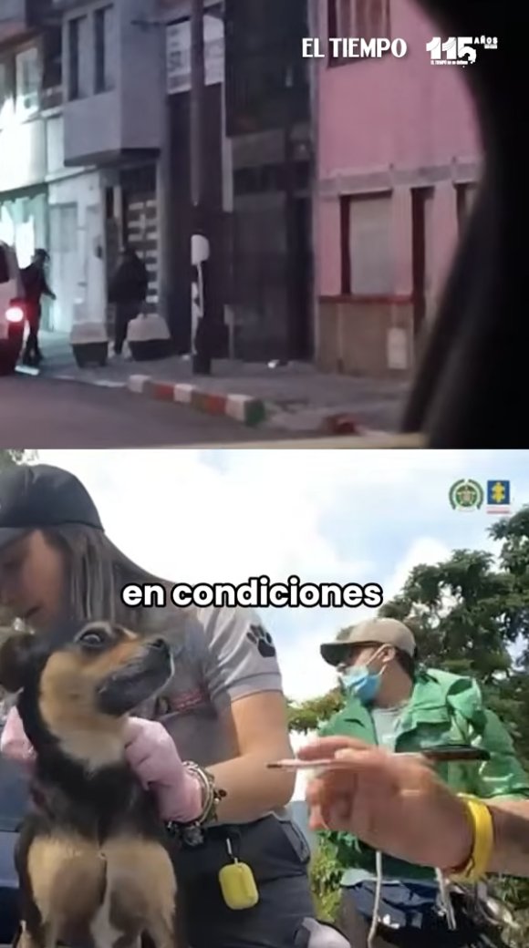 La Revolución Animal tweet media