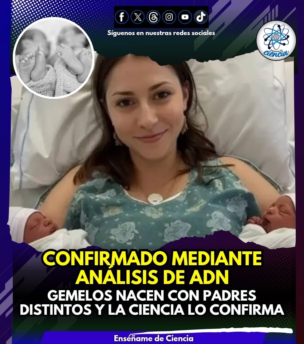 Enséñame de Ciencia tweet media