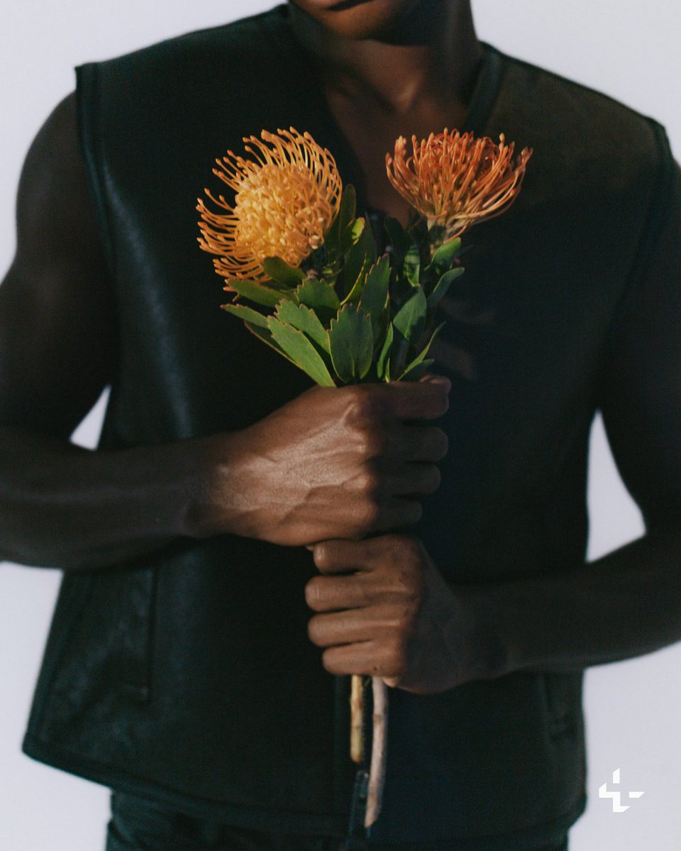 Unsplash tweet media