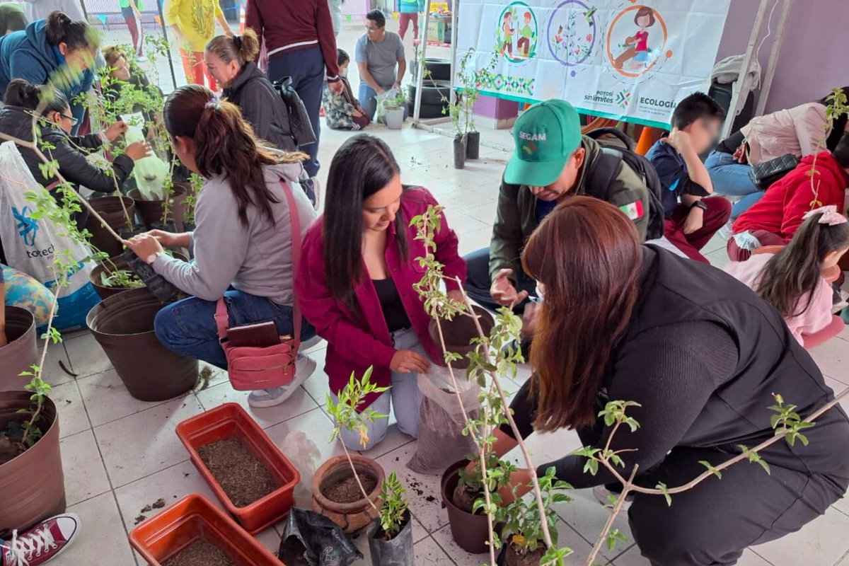 SEGAM SLP tweet media