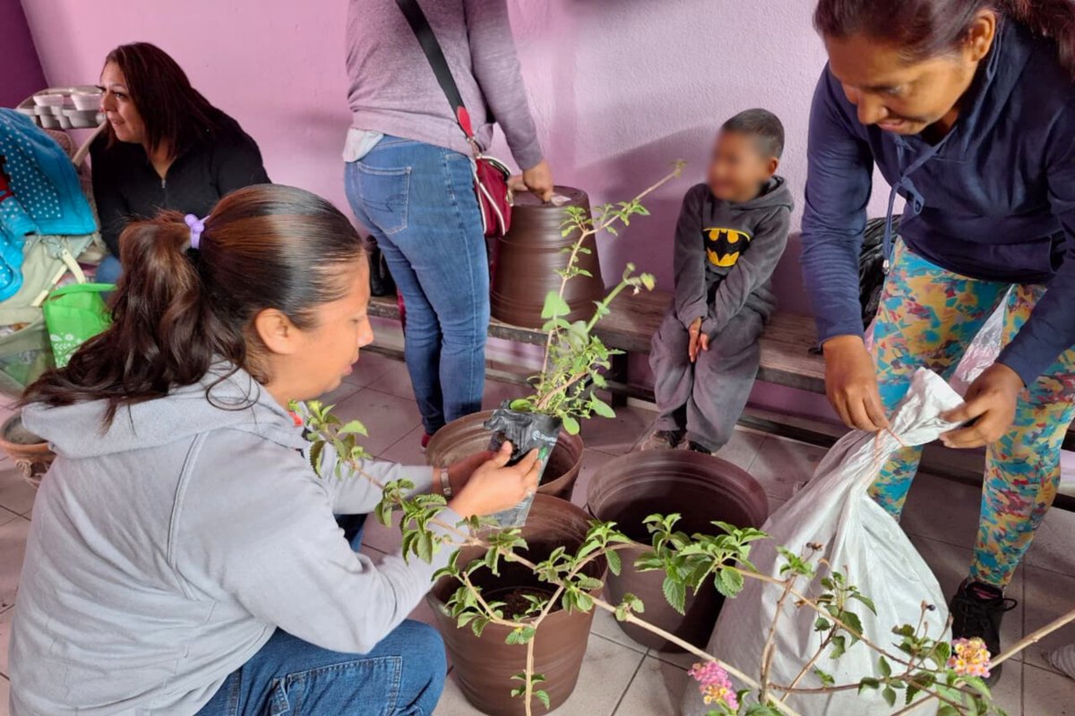 SEGAM SLP tweet media