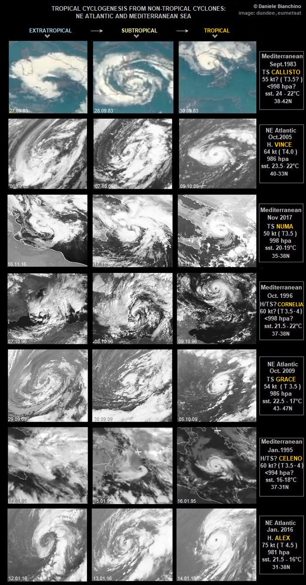 PrometheiPlanum's tweet photo. @MyRadarWX Like this Med. Storm, Tropical storm Pablo  Oct. 2019 developed from an extratropical system, that became a subtropical and next a fully tiny-Tropical storm over 19°C sst. And other unusual NE Atlantic TC (Grace 2009, Karl 1980 etc.) Systems like IANOS 2021 it's fully Tropical. https://t.co/7GC5lwRWQs