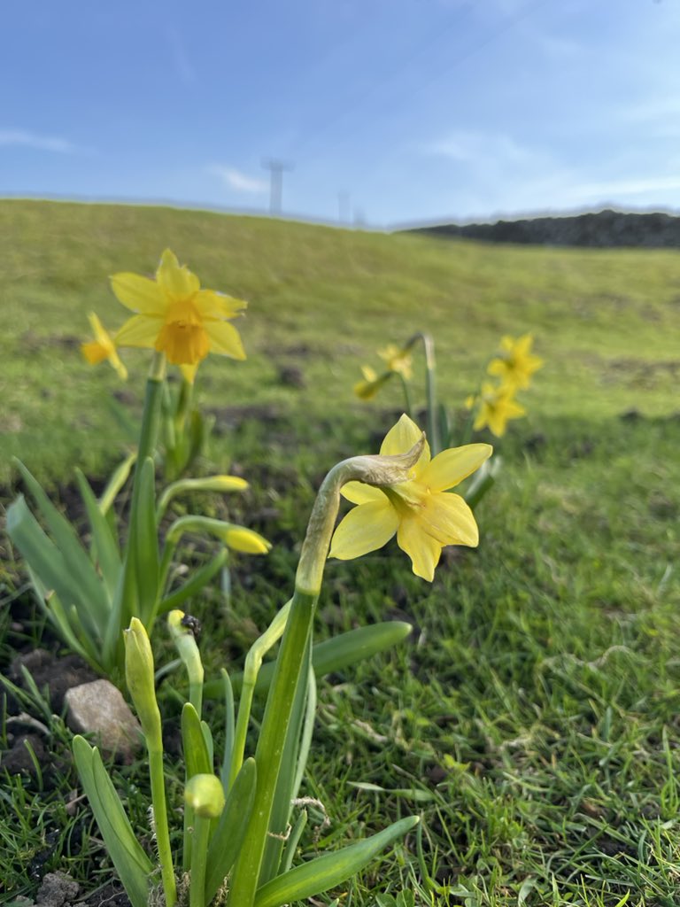 juliatetley's tweet photo. Lovely day up here on the moors. Oystercatchers, Curlews and meadow pipits have returned. Soon, with any luck, so will the swallows. Home looking like a boat in a sea of moorland. https://t.co/tBCqiPYAto