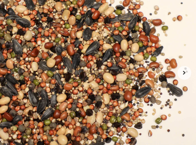 Green Cover Seed tweet media