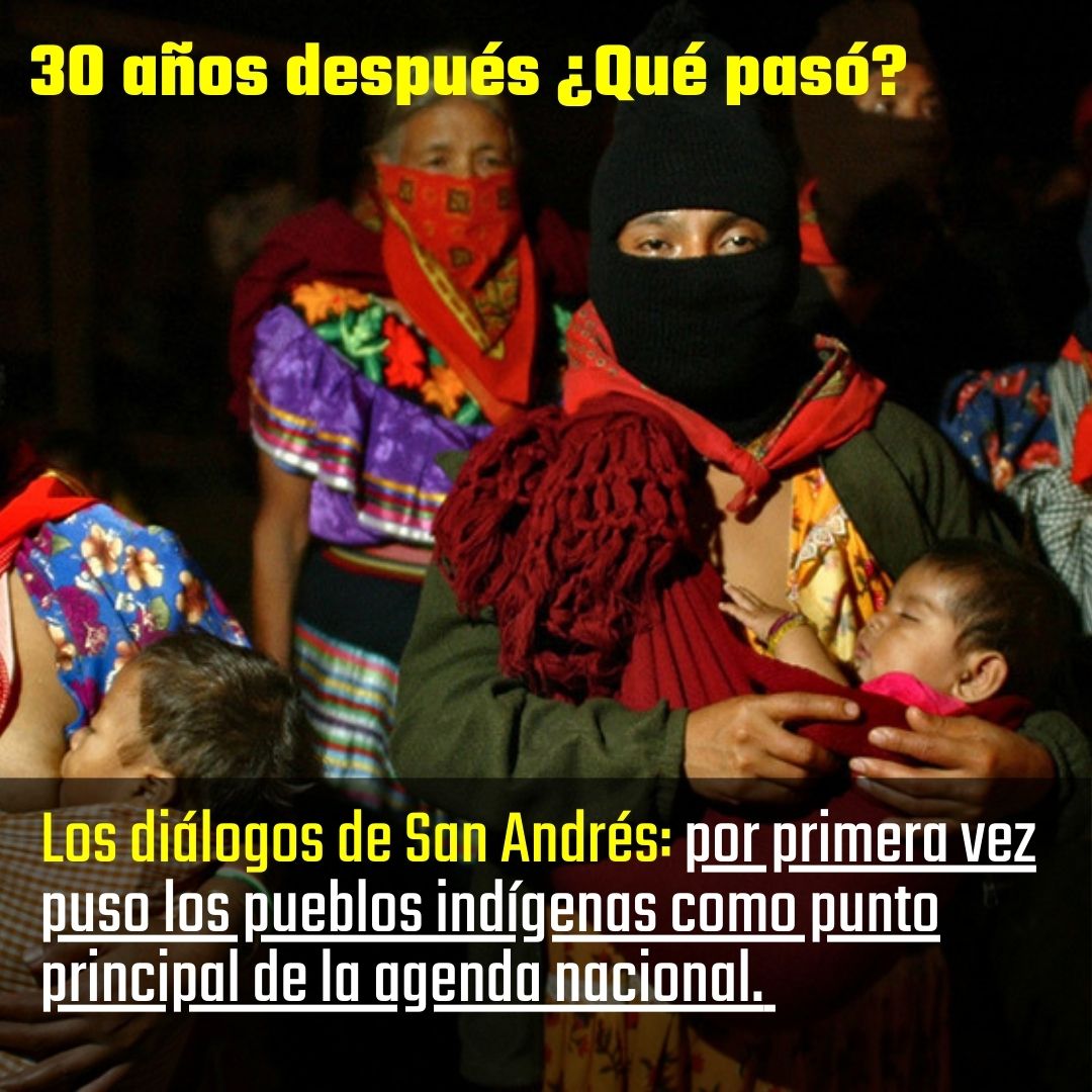 Avispa Mídia tweet media