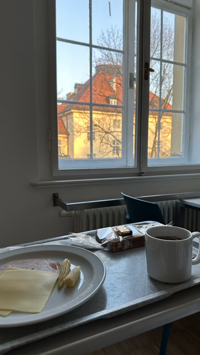 ❄️ Snowflake Fella from the Alps 🇩🇪🇪🇺 tweet media