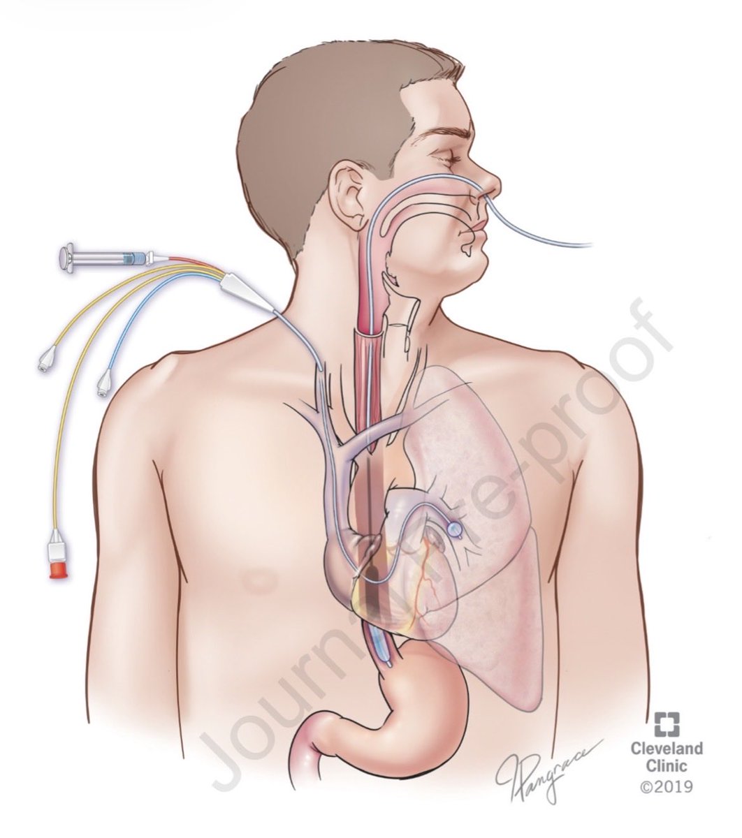 Hayley Gershengorn tweet media