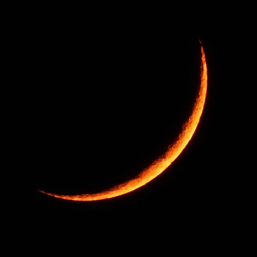 Hava Forum tweet media