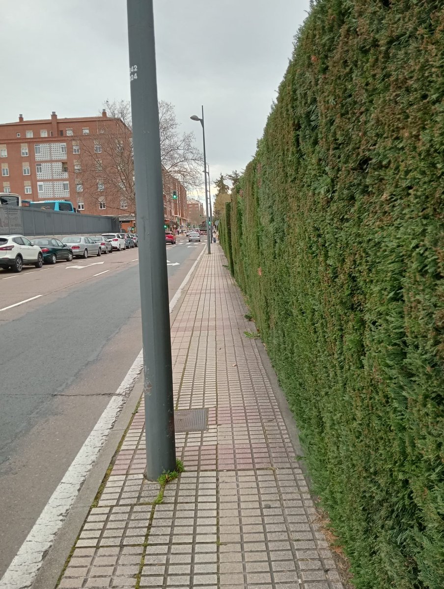 Jorge 🇵🇸🇪🇸 tweet media