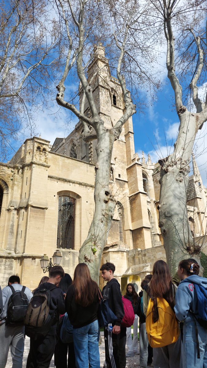 Institut Sants tweet media