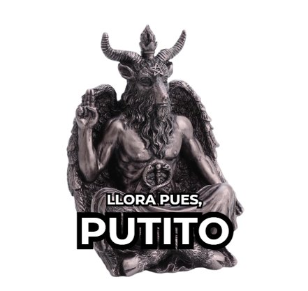 El FiLUXmeno 🦭 tweet media