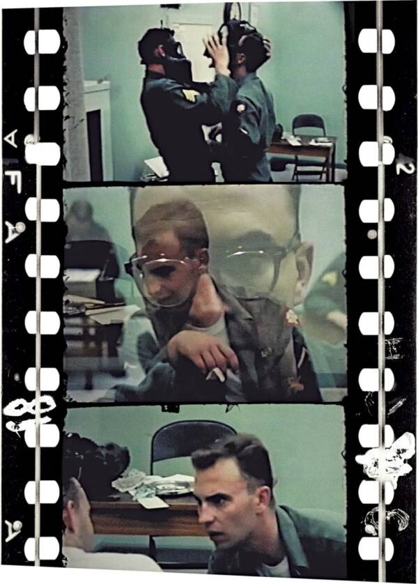 Taylor Sterling tweet media