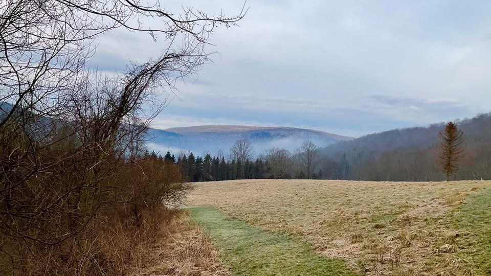 Leslie T. Sharpe tweet media