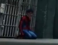 🌷 , petra! 𝜗𝜚 tweet media