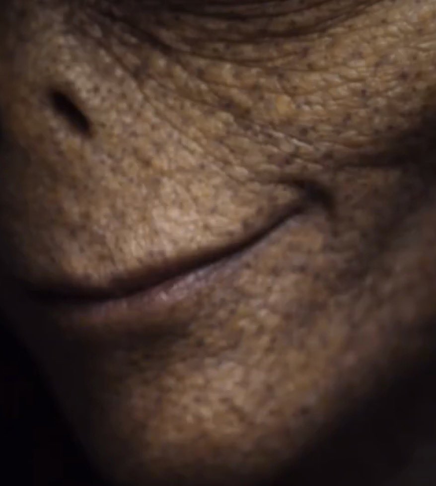 Ribbi 🌎☮️ tweet media