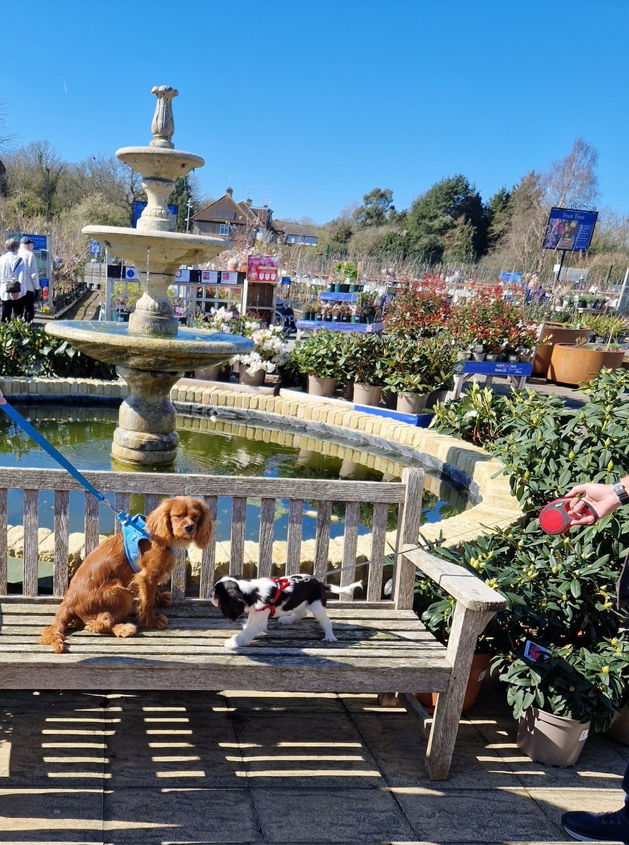 Michaelbayes tweet media