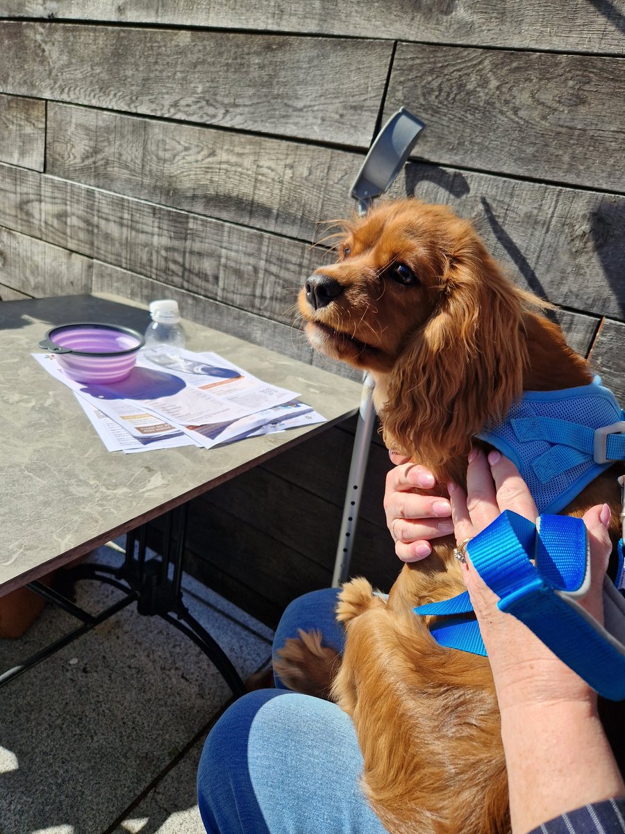 Michaelbayes tweet media