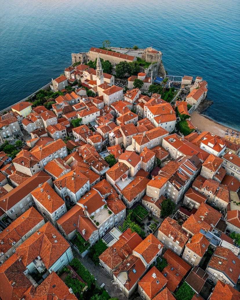 Old World Explorer tweet media