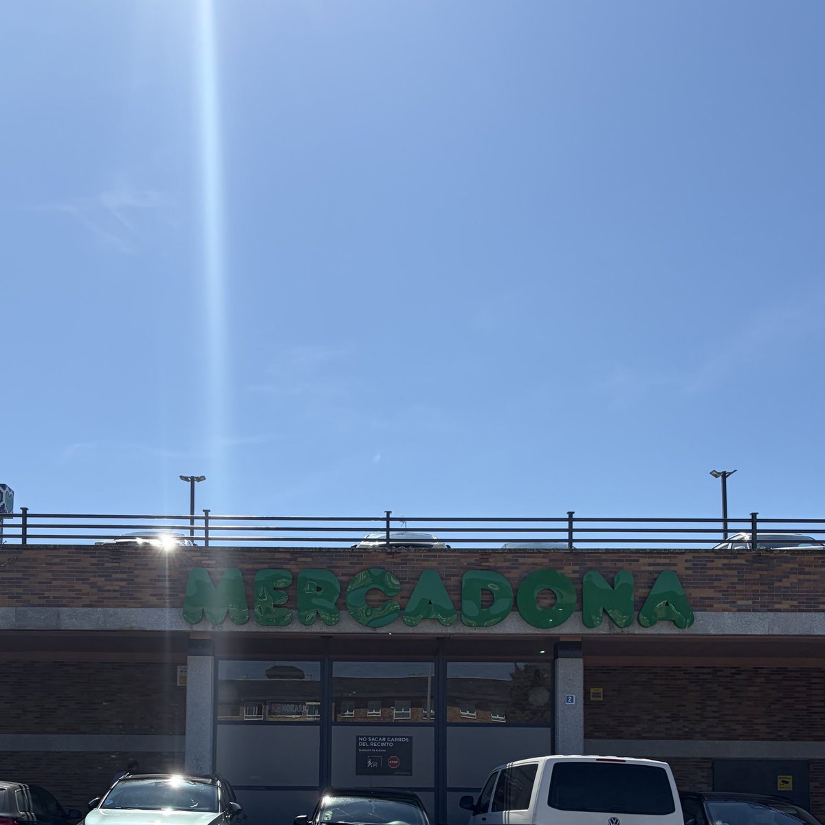 Sofi 🐦‍🔥 tweet media