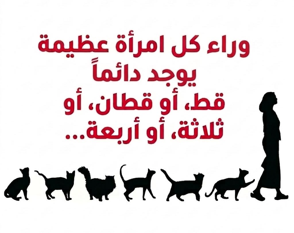 RiyadhCats tweet media