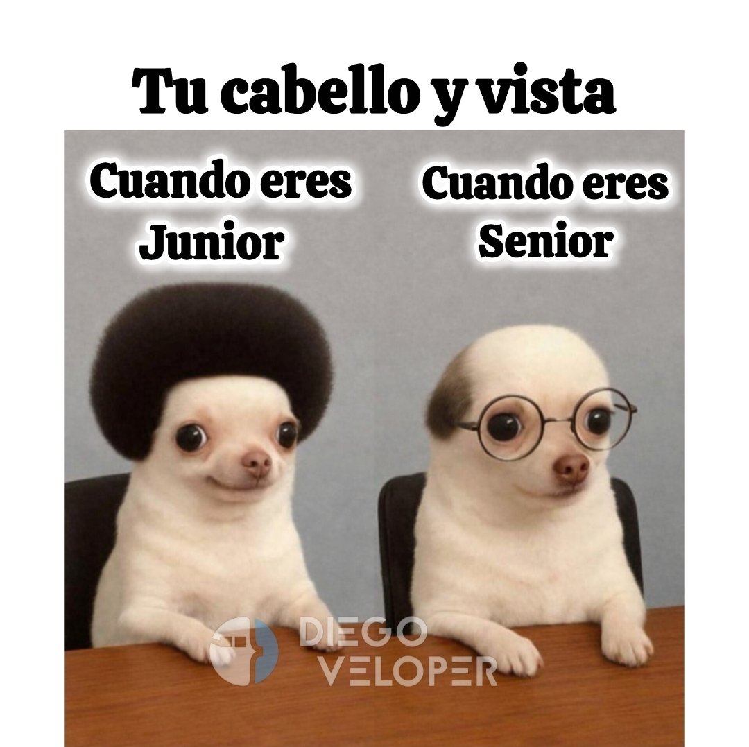 Memes de programación tweet media