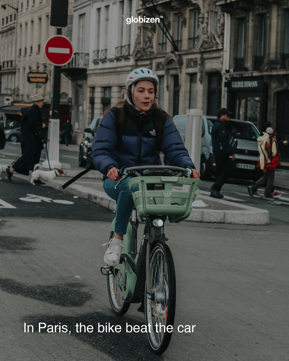 Brandon Donnelly tweet media