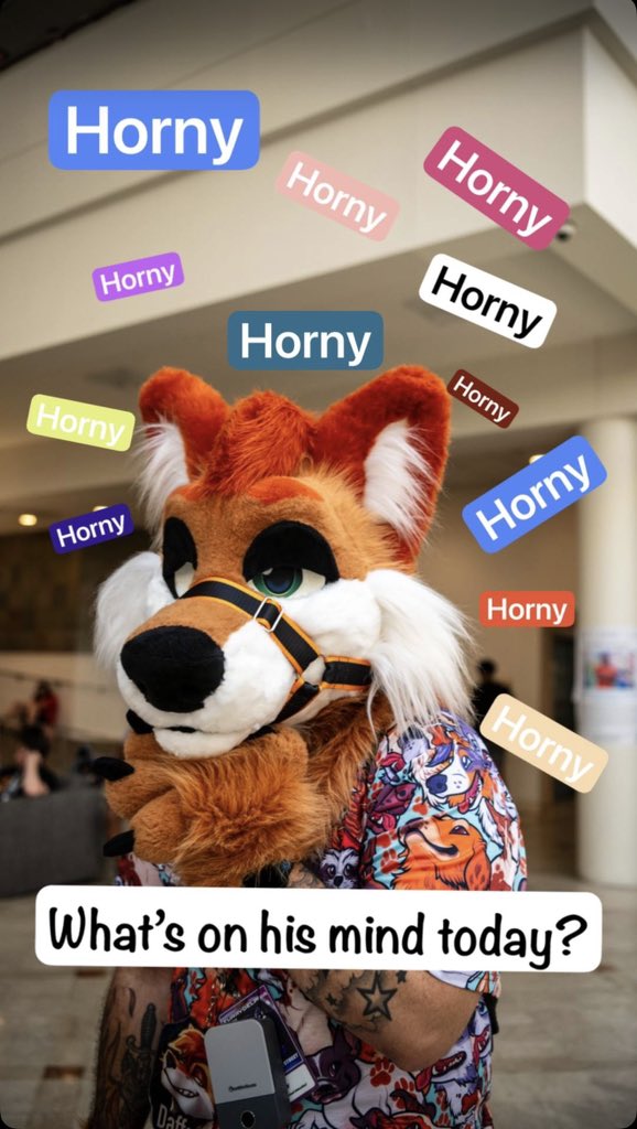 Daff 🔜 AC tweet media