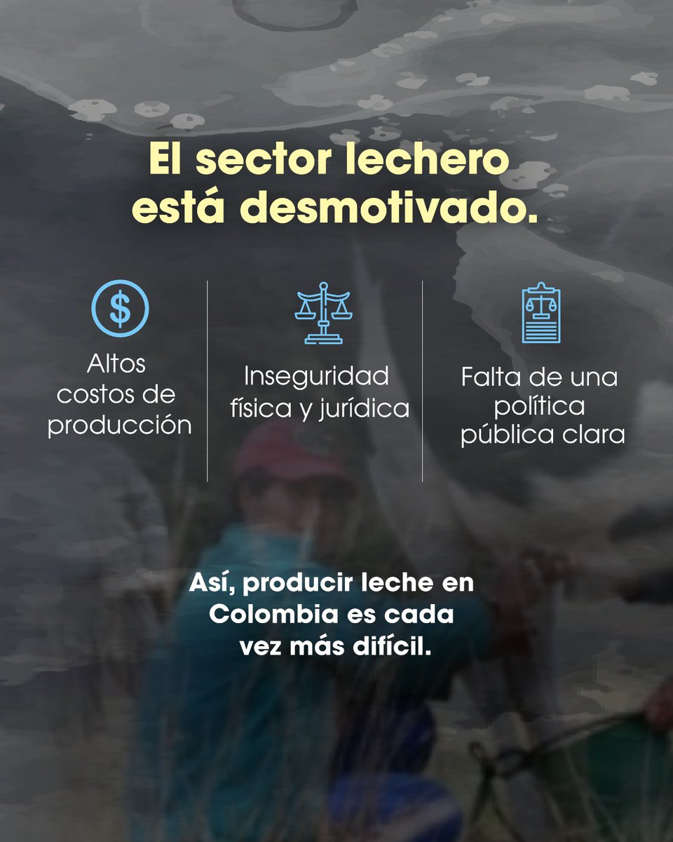 Fedegan's tweet photo. Desde #Fedegán alzamos la voz en el Consejo Nacional Lácteo. Propusimos un incremento del 5,1%, basado en la realidad del campo.
El campo colombiano necesita reglas claras y decisiones justas.
👉 El precio debe reflejar el esfuerzo del ganadero. 🚜🐄
#ConstruyendoGanadería
@jflafaurie