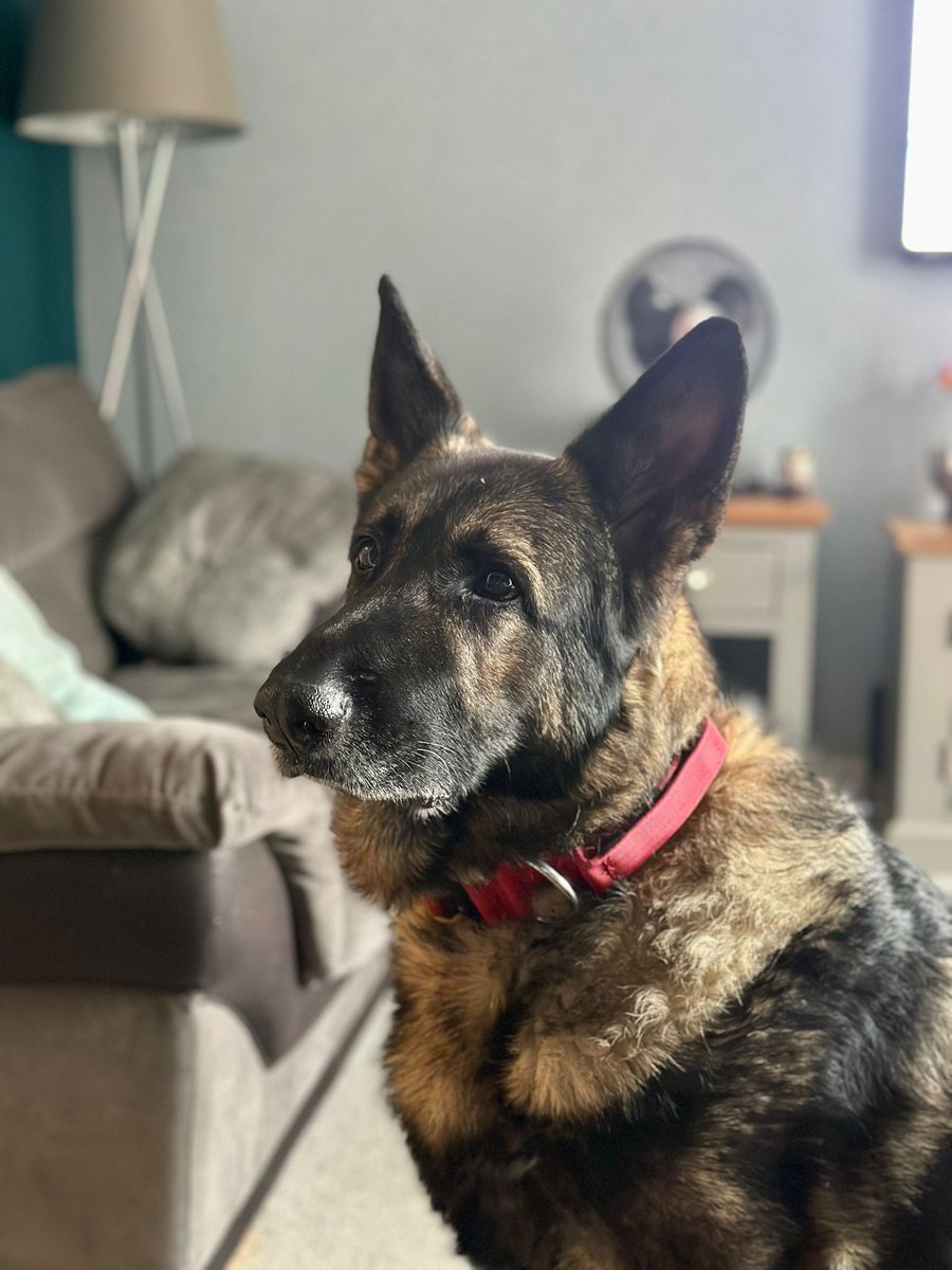 RPD Pacer tweet media